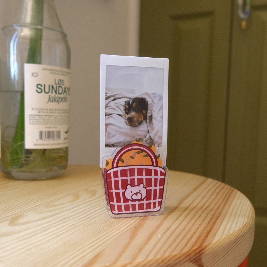 Bear Basket Picture Clip