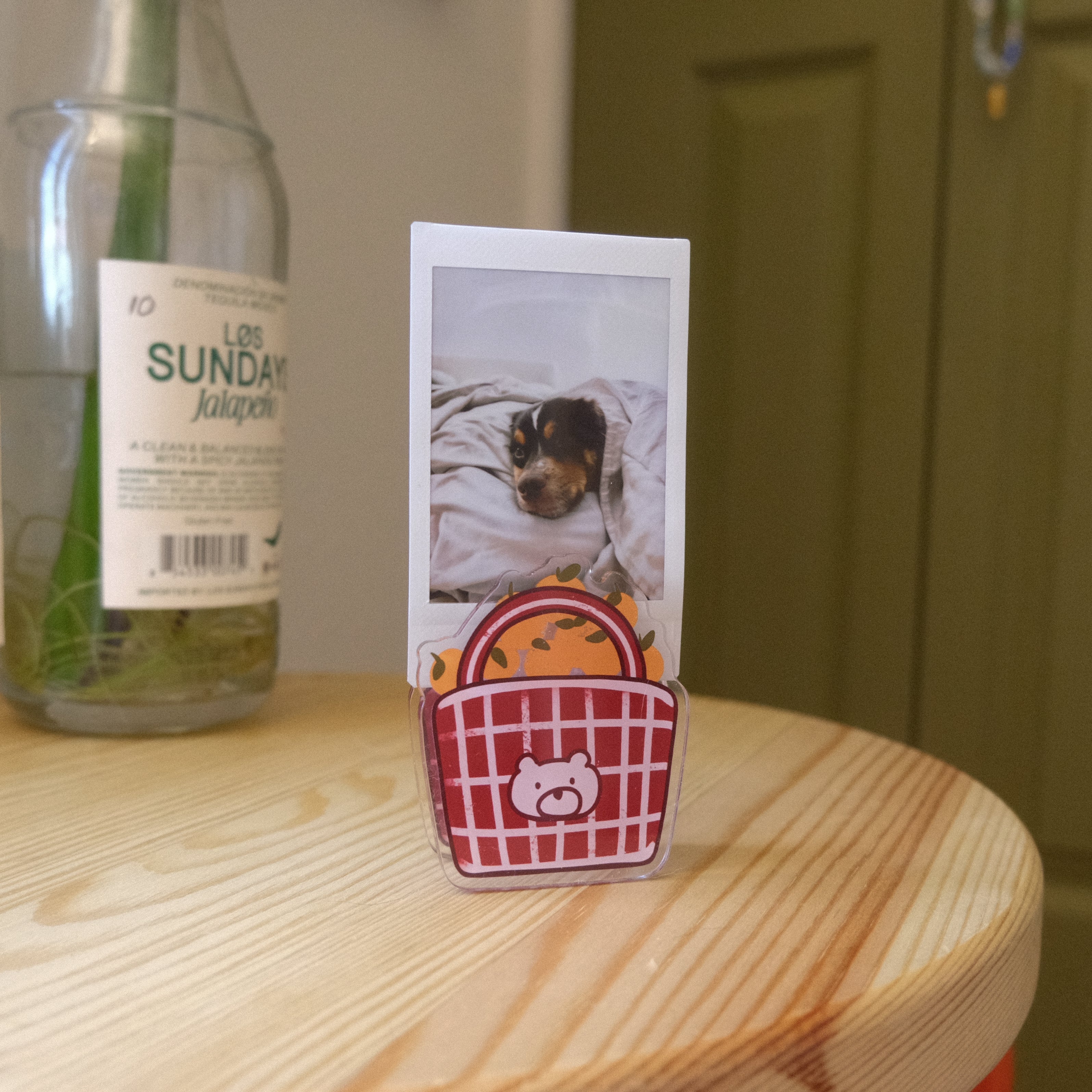 Bear Basket Picture Clip